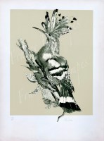 Pic-Epeiche