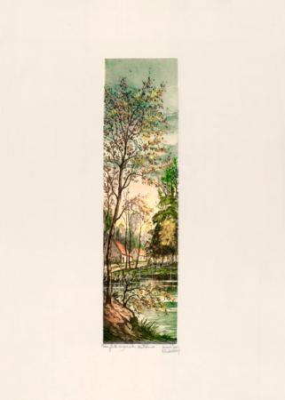 F3646.jpg